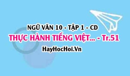 Soạn bài Thực hành tiếng Việt trang 51 lớp 10 Cánh Diều tập 1